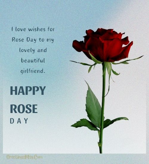 Beautiful happy rose day pic