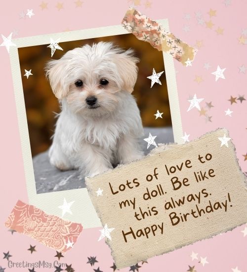 Birthday Message From Dog