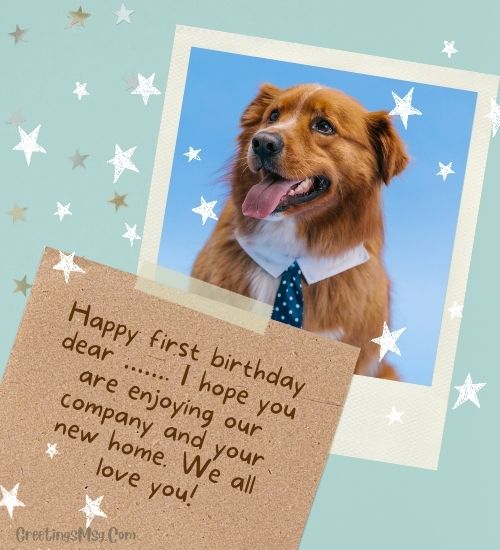 Birthday Message to Dog