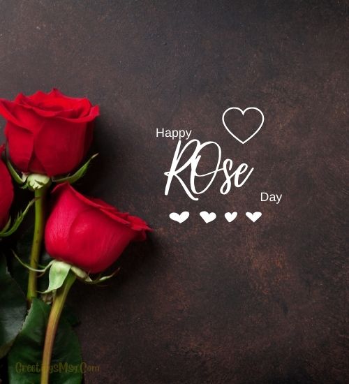 Download Rose Day Wallpaper