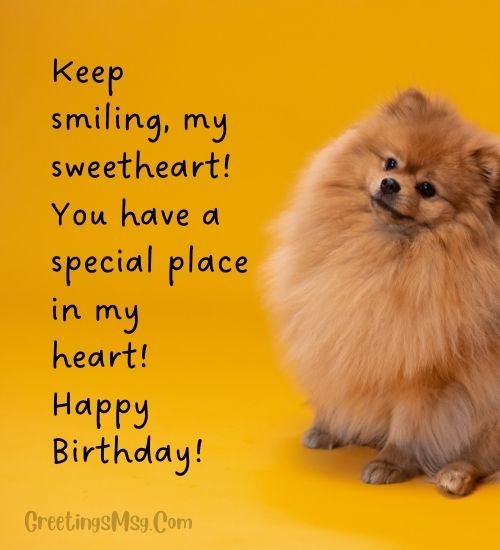 Funny Birthday Wishes For Pet Dog