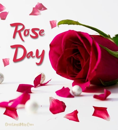 Happy Rose Day Wishes for Boyfriend