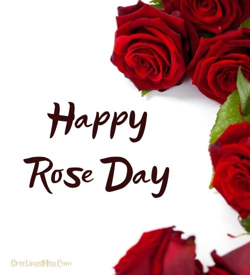 Happy Rose Day Wishes for Husband
