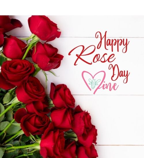 Happy Rose Day Wishes images