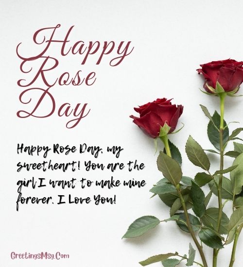 Happy Rose Day Wishes in English