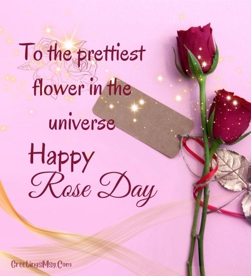 Happy Rose Day Wishes to My Love