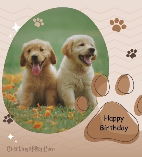 Heart Touching Birthday Wishes For Pet Dog