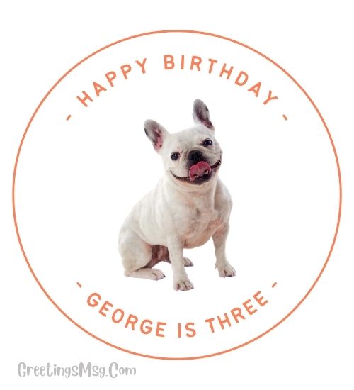dog birthday images funny