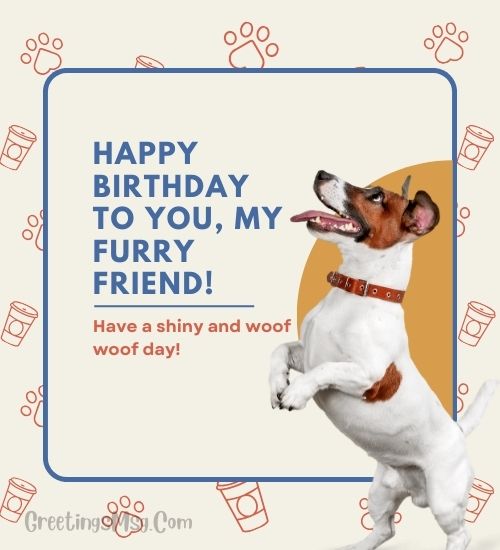 funny dog birthday images