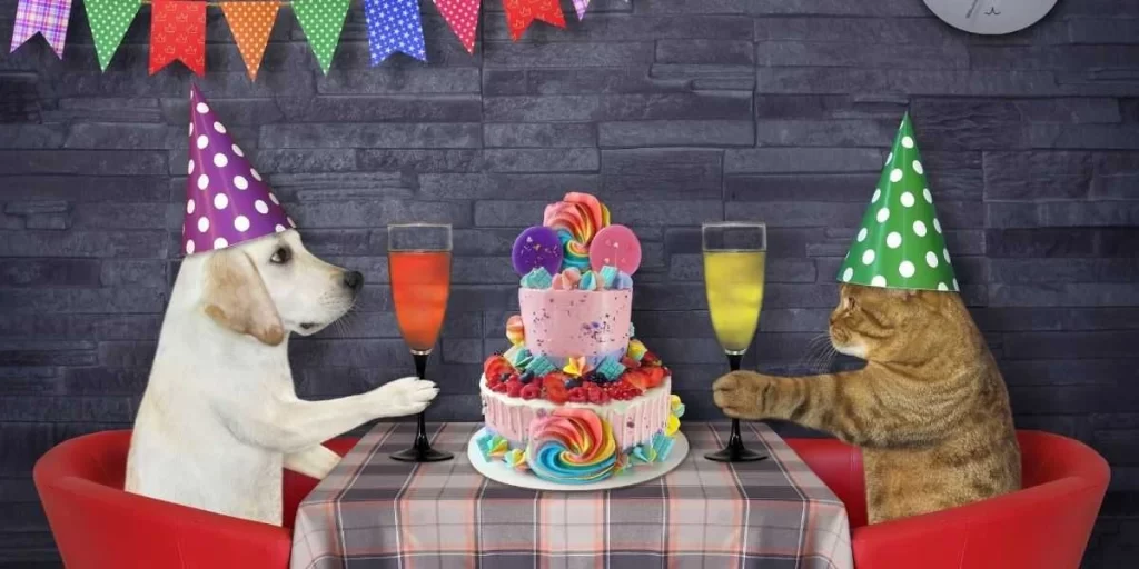 Best Dog Birthday Ideas DIY