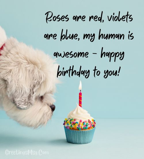 Birthday quotes for dogs instagram