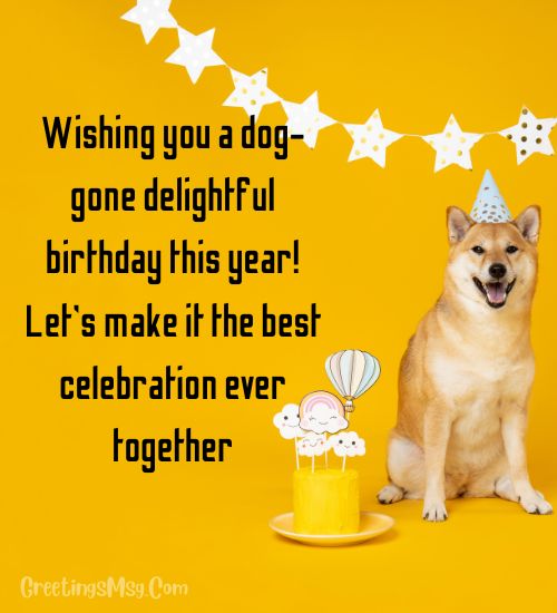 Birthday wishes for dog captions