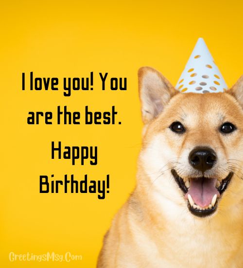 Dog 1st Birthday Wishes