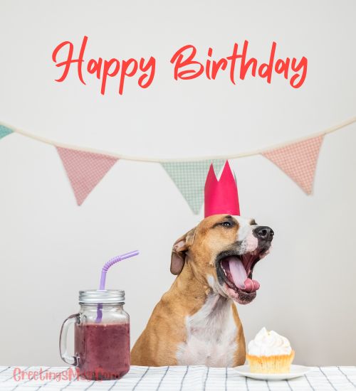 Birthday Wishes For A Dog