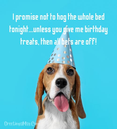 Birthday Dog Quotes