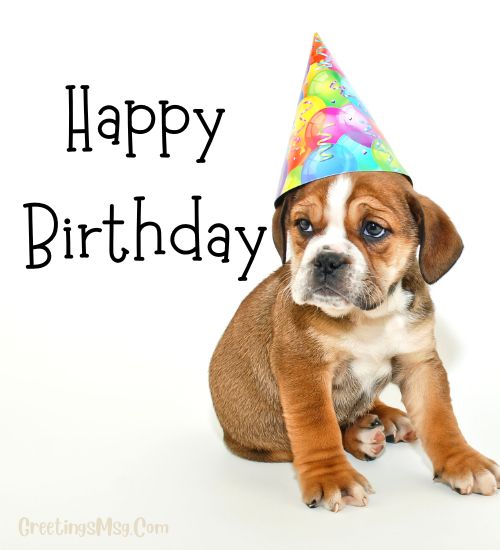 Dog themed happy birthday images