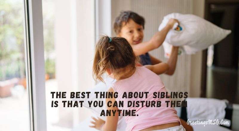 30+ Best Brother And Sister Beautiful Quotes Funny Brother and Sister Quotes